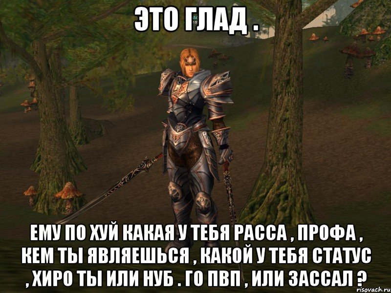 это глад . ему по хуй какая у тебя расса , профа , кем ты являешься , какой у тебя статус , хиро ты или нуб . го пвп , или зассал ?, Мем Глад
