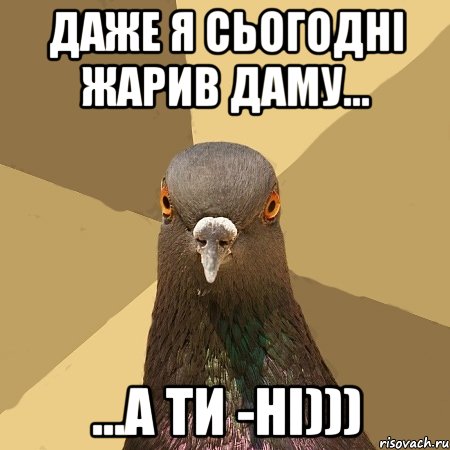 даже я сьогодні жарив даму... ...а ти -ні))), Мем голубь