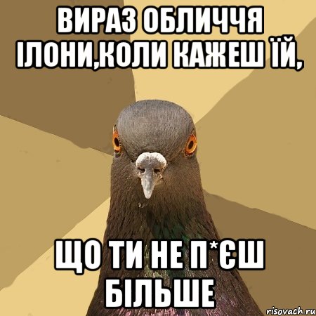 вираз обличчя ілони,коли кажеш їй, що ти не п*єш більше, Мем голубь