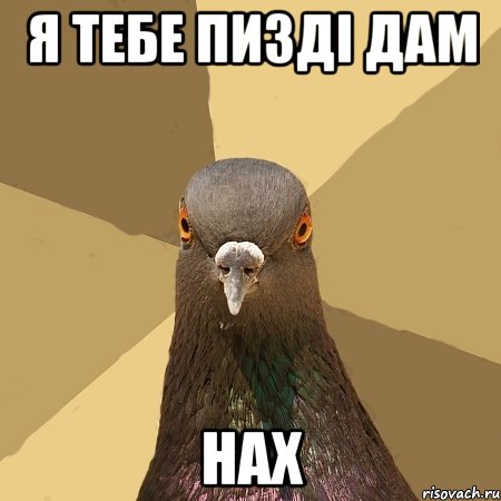 я тебе пизді дам нах