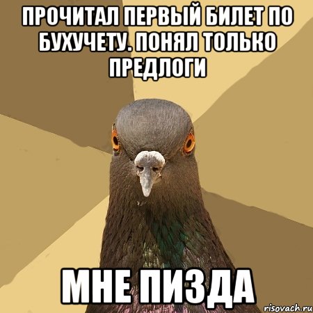 прочитал первый билет по бухучету. понял только предлоги мне пизда, Мем голубь