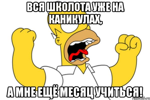 вся школота уже на каникулах, а мне ещё месяц учиться!, Мем Разъяренный Гомер