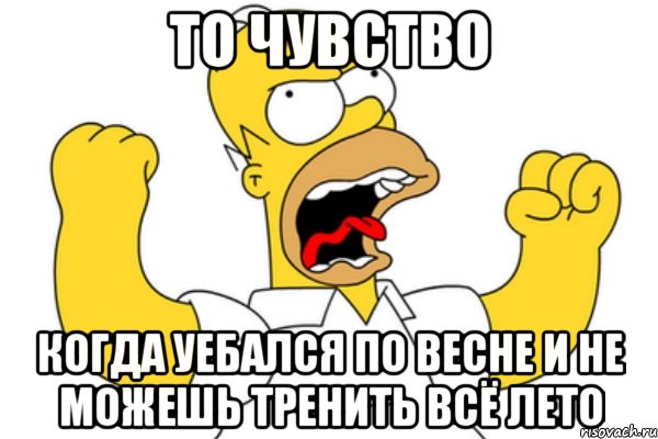 то чувство когда уебался по весне и не можешь тренить всё лето, Мем Разъяренный Гомер