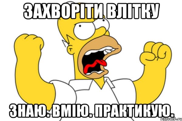 захворіти влітку знаю. вмію. практикую., Мем Разъяренный Гомер