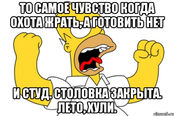 то самое чувство когда охота жрать, а готовить нет и студ. столовка закрыта. лето, хули., Мем Разъяренный Гомер