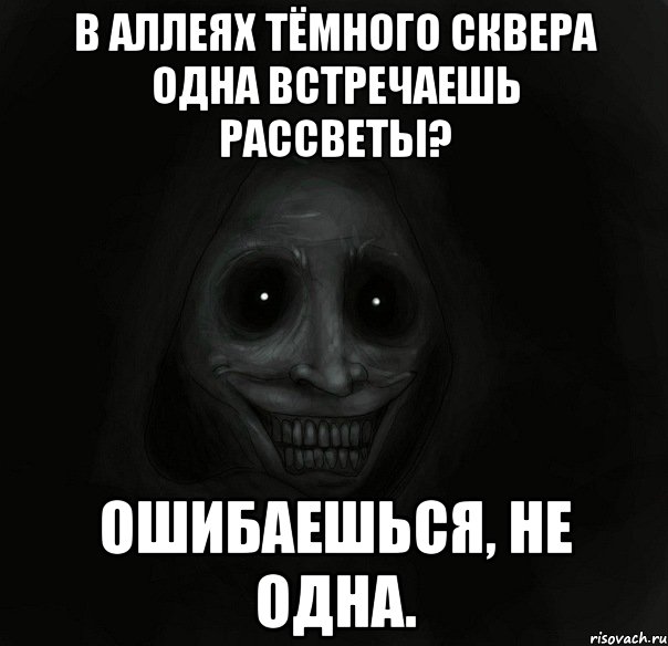 в аллеях тёмного сквера одна встречаешь рассветы? ошибаешься, не одна., Мем Ночной гость