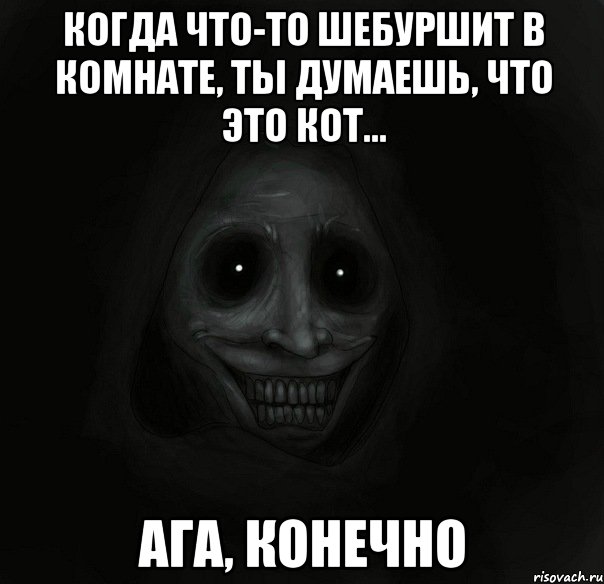 когда что-то шебуршит в комнате, ты думаешь, что это кот... ага, конечно, Мем Ночной гость