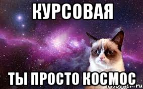 курсовая ты просто космос, Мем grumpy cat space