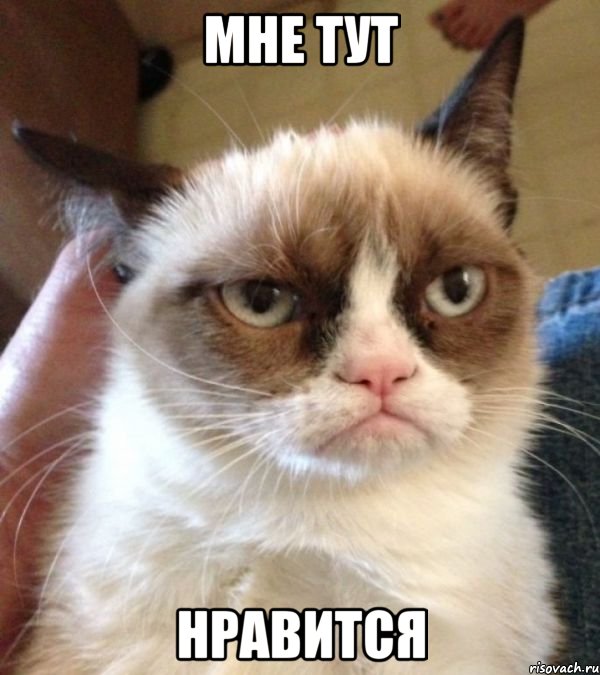 мне тут нравится