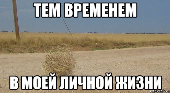 тем временем в моей личной жизни, Мем gthtrfnbgjkt