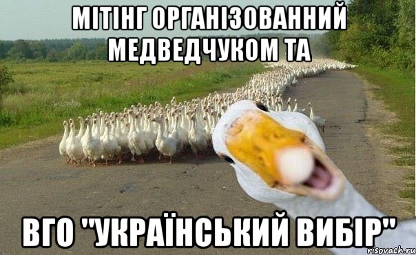 мітінг організованний медведчуком та вго "український вибір", Мем гуси