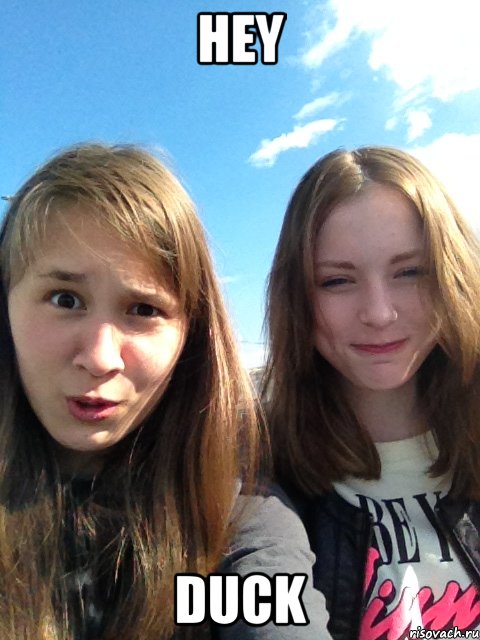 hey duck, Мем HEY DUCK