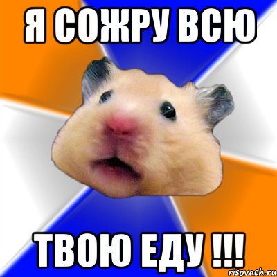 я сожру всю твою еду !!!, Мем Хомяк