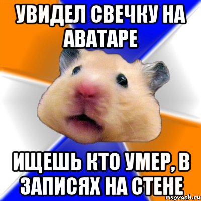 увидел свечку на аватаре ищешь кто умер, в записях на стене, Мем Хомяк