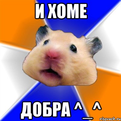 и хоме добра ^_^, Мем Хомяк