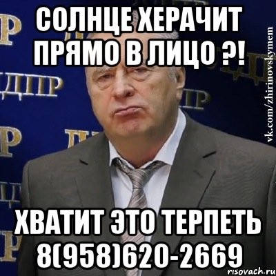 солнце херачит прямо в лицо ?! хватит это терпеть 8(958)620-2669, Мем Хватит это терпеть (Жириновский)