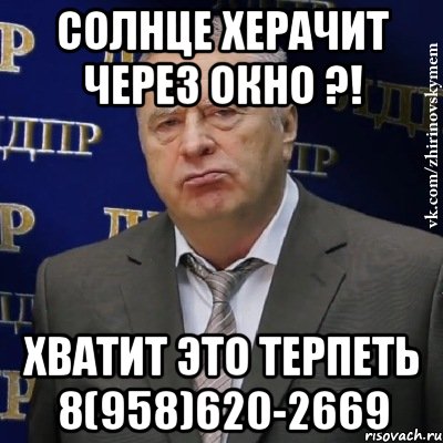 солнце херачит через окно ?! хватит это терпеть 8(958)620-2669, Мем Хватит это терпеть (Жириновский)