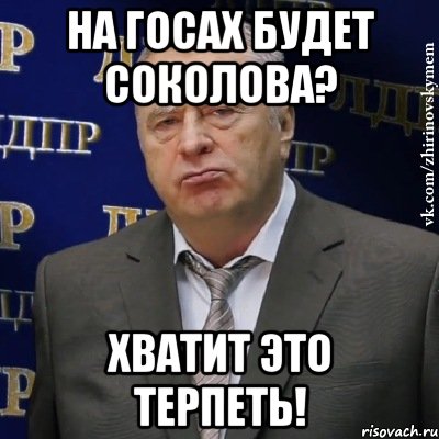 на госах будет соколова? хватит это терпеть!, Мем Хватит это терпеть (Жириновский)