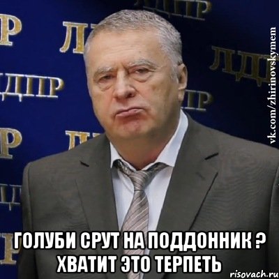  голуби срут на поддонник ? хватит это терпеть, Мем Хватит это терпеть (Жириновский)