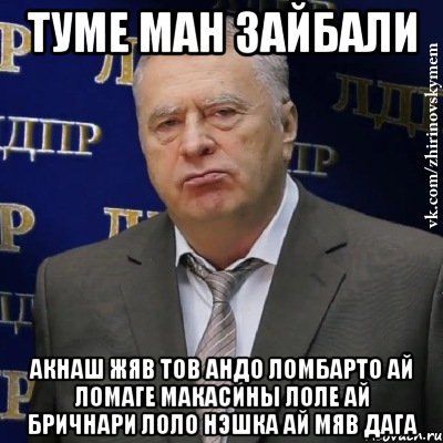 туме ман зайбали акнаш жяв тов андо ломбарто ай ломаге макасины лоле ай бричнари лоло нэшка ай мяв дага, Мем Хватит это терпеть (Жириновский)