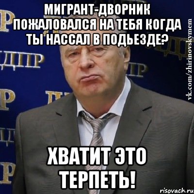 мигрант-дворник пожаловался на тебя когда ты нассал в подьезде? хватит это терпеть!, Мем Хватит это терпеть (Жириновский)