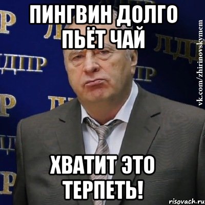 пингвин долго пьёт чай хватит это терпеть!, Мем Хватит это терпеть (Жириновский)