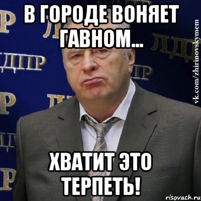 в городе воняет гавном... хватит это терпеть!, Мем Хватит это терпеть (Жириновский)