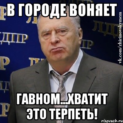 в городе воняет гавном...хватит это терпеть!, Мем Хватит это терпеть (Жириновский)