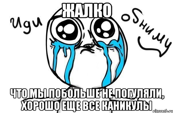 жалко что мы побольше не погуляли, хорошо еще все каникулы, Мем Иди обниму