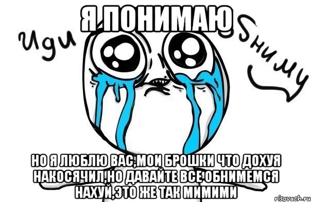 я понимаю но я люблю вас,мои брошки что дохуя накосячил,но давайте все обнимемся нахуй,это же так мимими, Мем Иди обниму