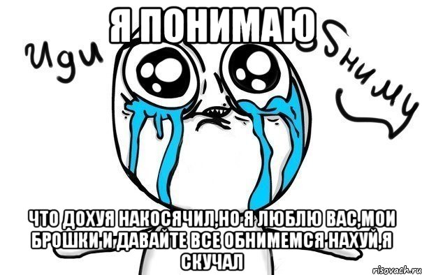 я понимаю что дохуя накосячил,но я люблю вас,мои брошки и давайте все обнимемся нахуй,я скучал, Мем Иди обниму