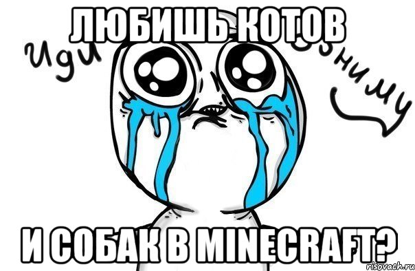 любишь котов и собак в minecraft?, Мем Иди обниму