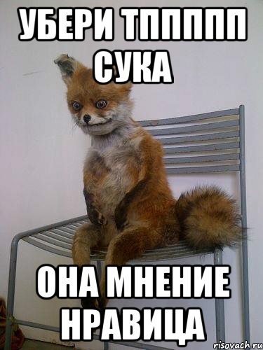 убери тппппп сука она мнение нравица, Мем Упоротая лиса