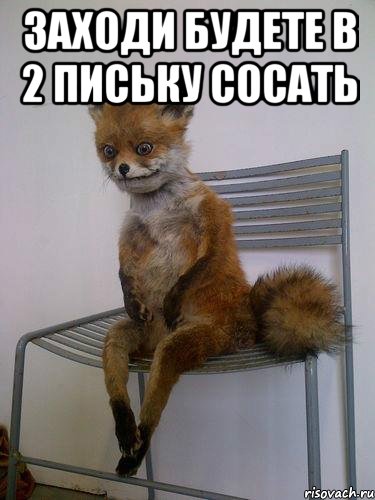 заходи будете в 2 письку сосать , Мем Упоротая лиса