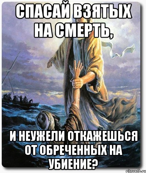 спасай взятых на смерть, и неужели откажешься от обреченных на убиение?, Мем Иисус