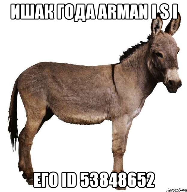 ишак года аrmаn i s i его id 53848652, Мем ишак