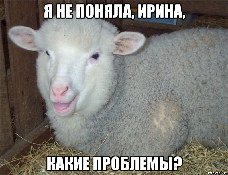 я не поняла, ирина, какие проблемы?, Мем история