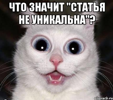 что значит "статья не уникальна"? , Мем как статья не уникальна
