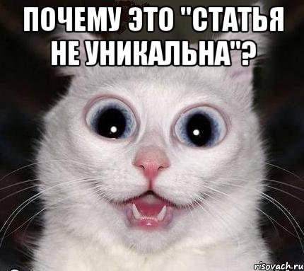 почему это "статья не уникальна"? , Мем как статья не уникальна