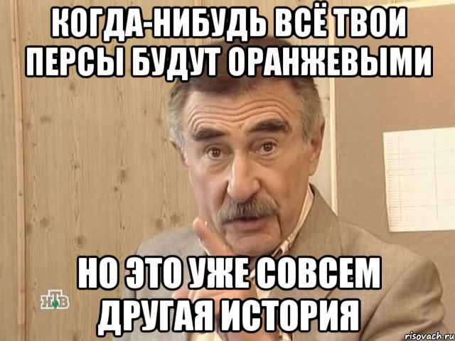 когда-нибудь всё твои персы будут оранжевыми но это уже совсем другая история, Мем Каневский (Но это уже совсем другая история)