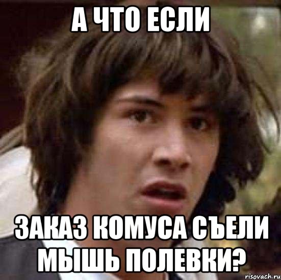 а что если заказ комуса съели мышь полевки?, Мем А что если (Киану Ривз)