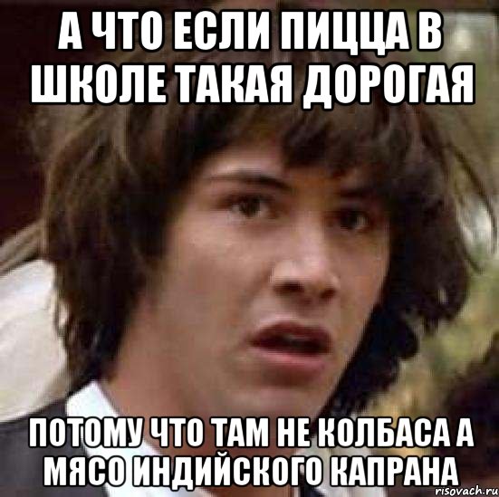 а что если пицца в школе такая дорогая потому что там не колбаса а мясо индийского капрана, Мем А что если (Киану Ривз)