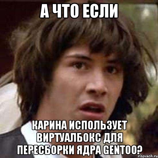 а что если карина использует виртуалбокс для пересборки ядра gentoo?, Мем А что если (Киану Ривз)