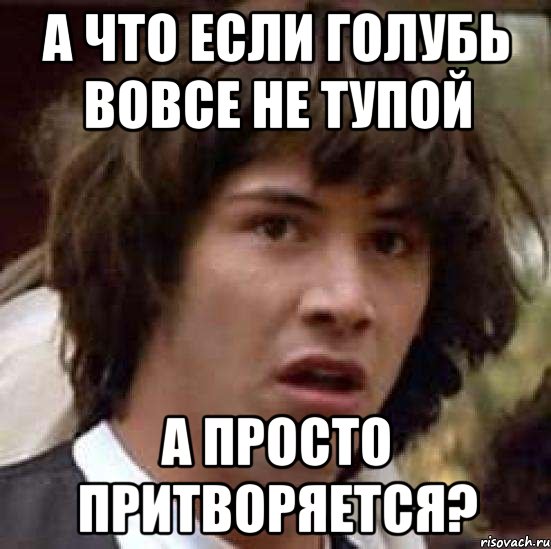 а что если голубь вовсе не тупой а просто притворяется?, Мем А что если (Киану Ривз)