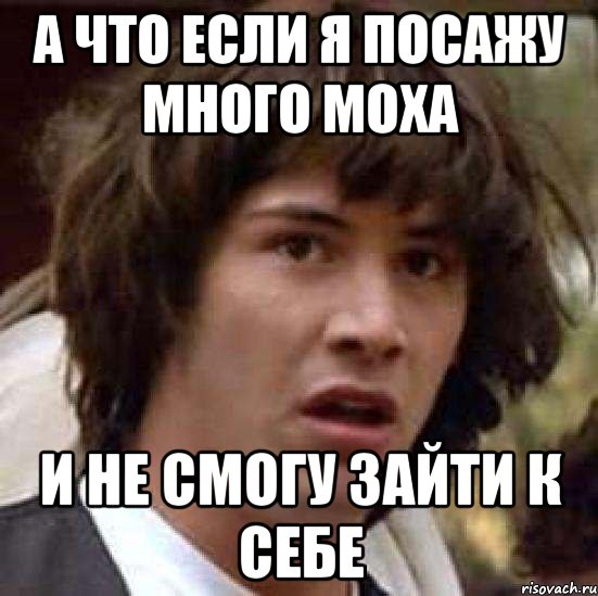 а что если я посажу много моха и не смогу зайти к себе, Мем А что если (Киану Ривз)