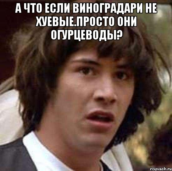 а что если виноградари не хуевые.просто они огурцеводы? , Мем А что если (Киану Ривз)