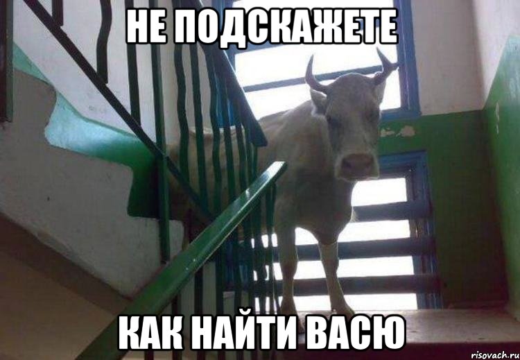 не подскажете как найти васю