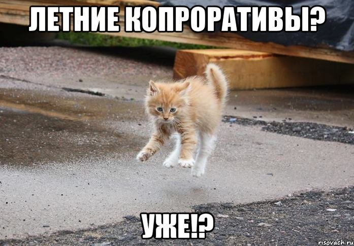 летние копроративы? уже!?, Мем корпоратив