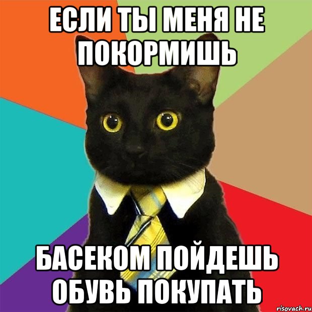 если ты меня не покормишь басеком пойдешь обувь покупать, Мем  Кошечка