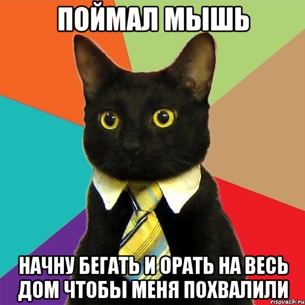 поймал мышь начну бегать и орать на весь дом чтобы меня похвалили, Мем  Кошечка